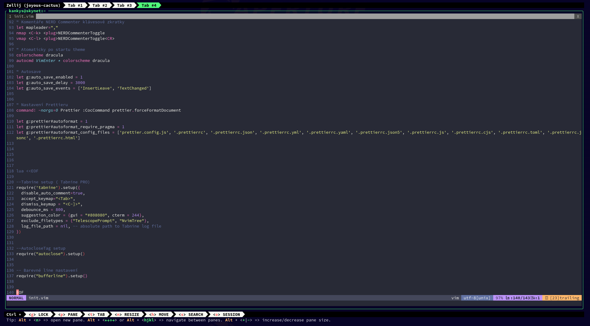 config.vim